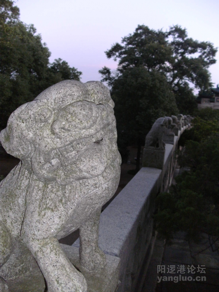 DSCK0142.JPG