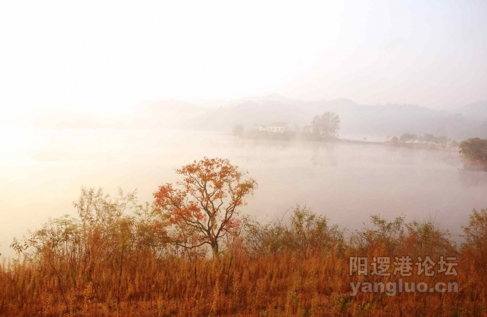 DSC_4369 拷贝.jpg