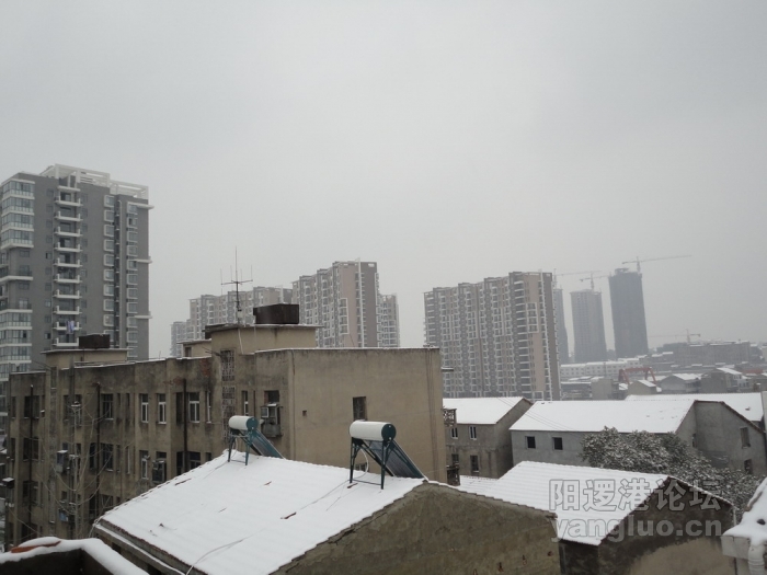 DSC02943.JPG