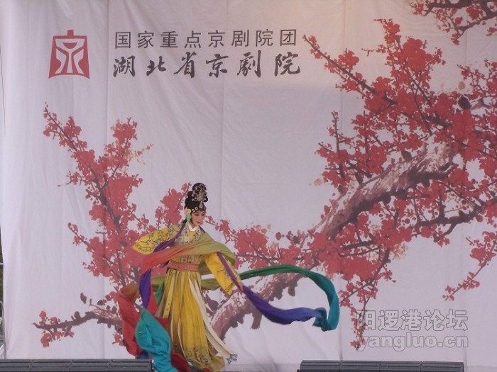 三下乡 (9).JPG