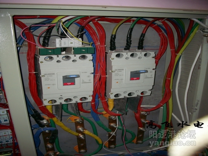 DSCI0095.jpg