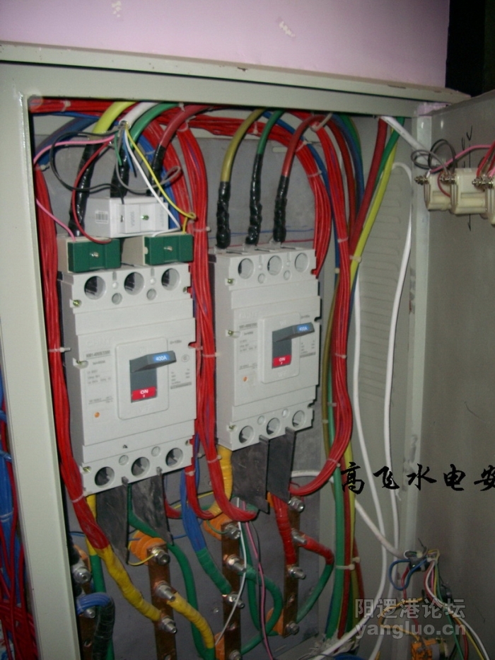 DSCI0098.jpg