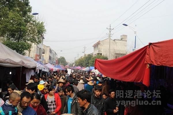 潘花朝20.jpg