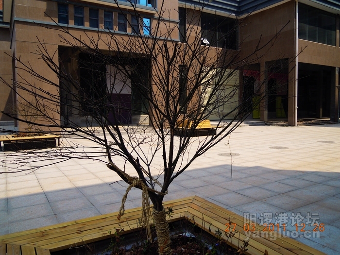 DSCN0112.jpg