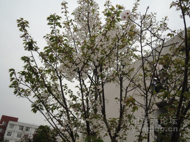 DSC00380.JPG