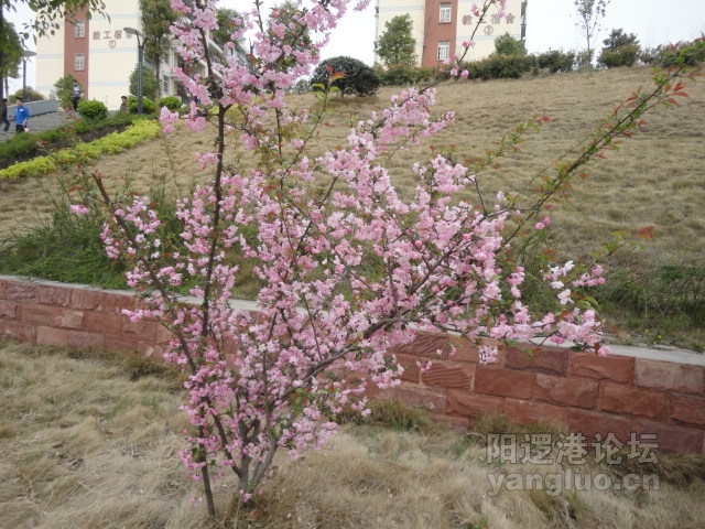 DSC00384.JPG