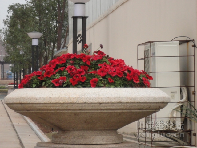 DSC00392.JPG