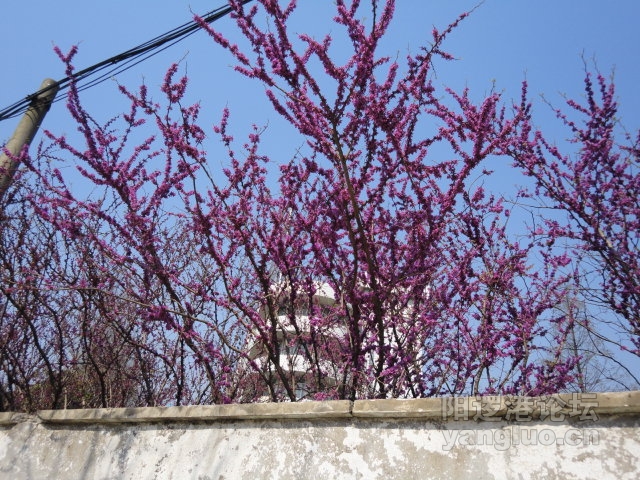 DSC00320.JPG