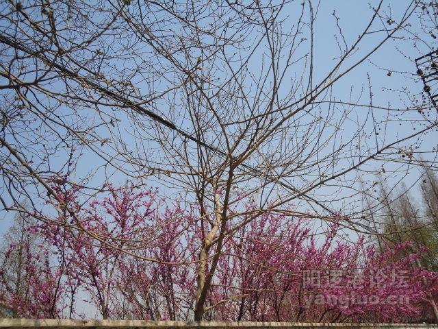 DSC00326.JPG