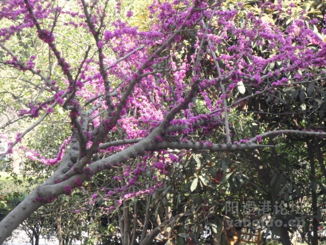 DSC00350.JPG
