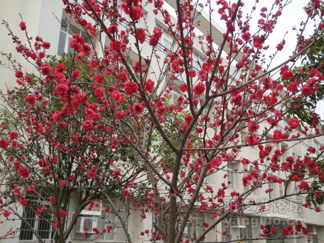 DSC00354.JPG