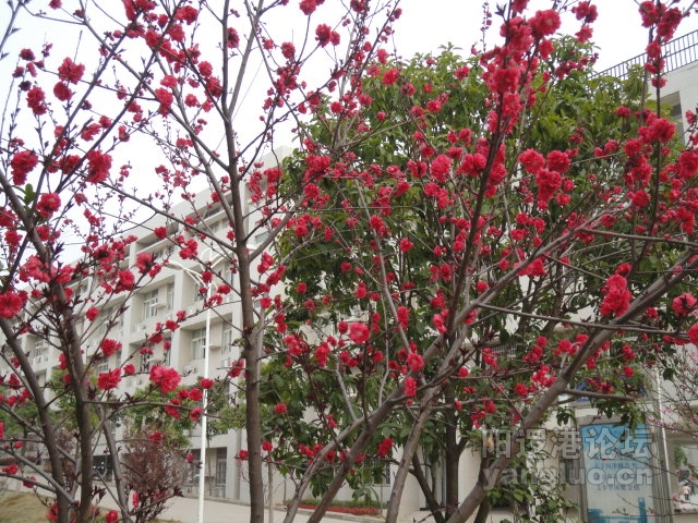 DSC00355.JPG
