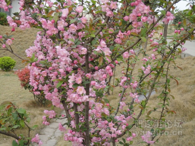 DSC00357.JPG