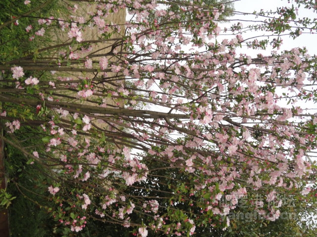 DSC00365.JPG