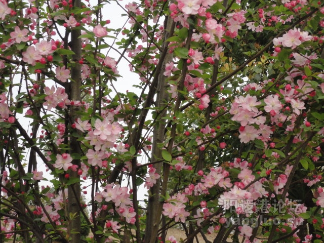 DSC00369.JPG