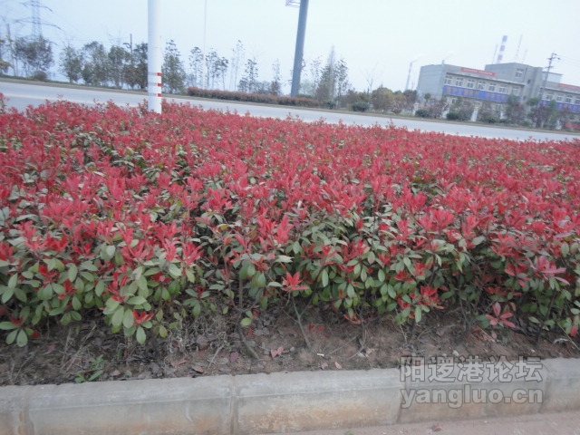 DSC00401.JPG