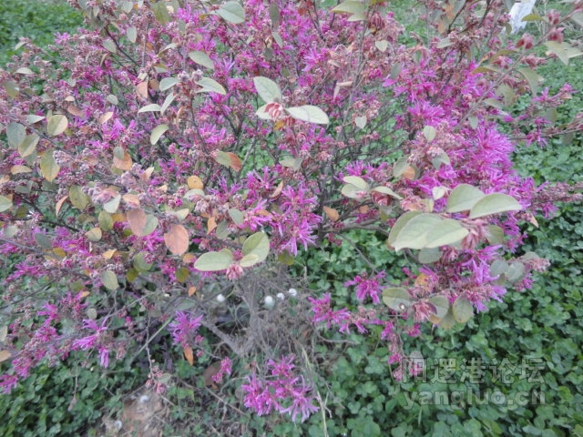 DSC00399.JPG