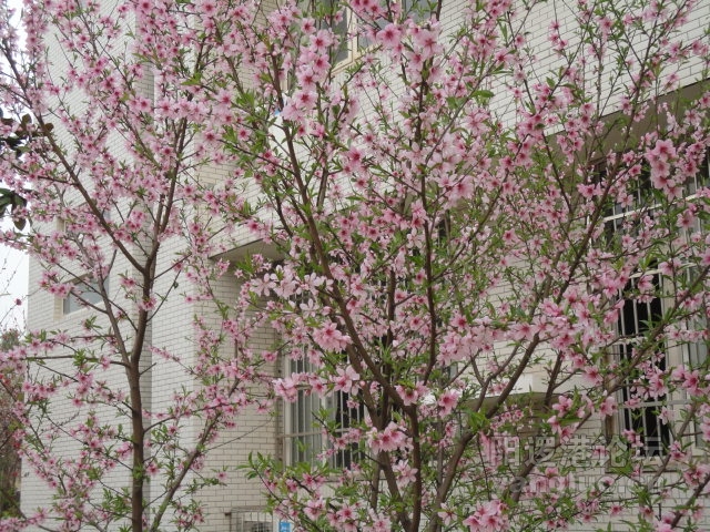DSC00361.JPG