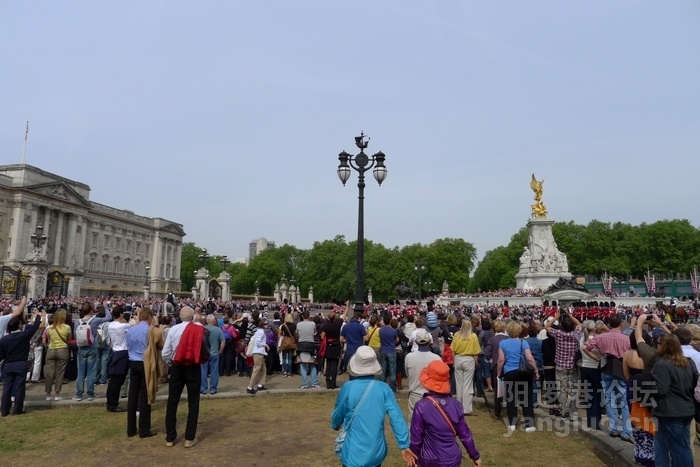 P1020194.jpg
