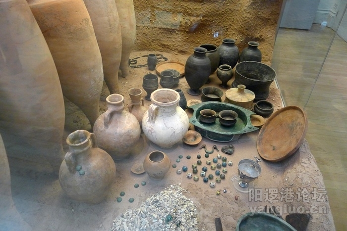 P1020347.jpg