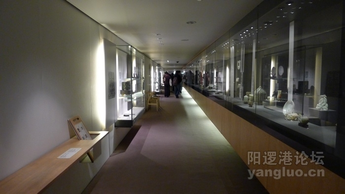P1020371.jpg