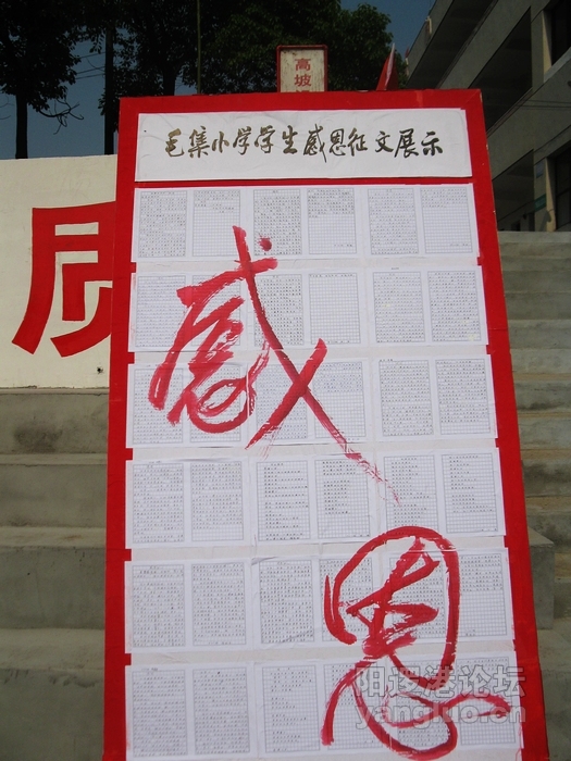 IMG_1125.jpg