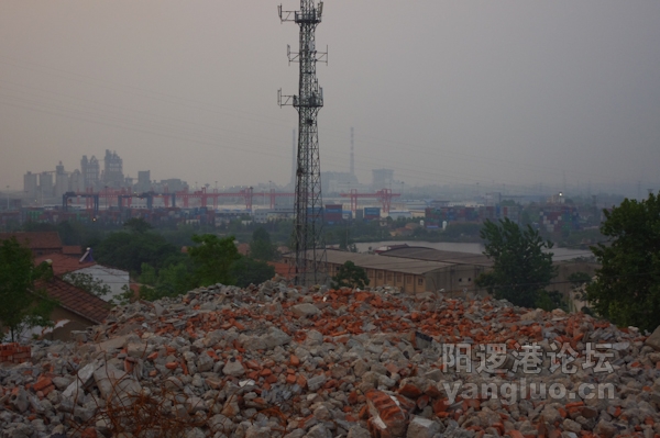 IMGP0029.jpg