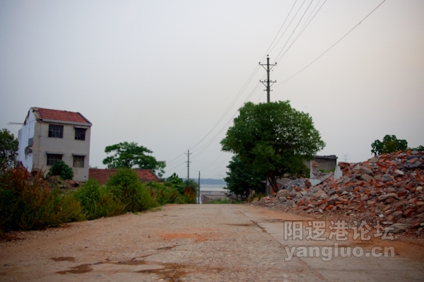 IMGP0039.jpg