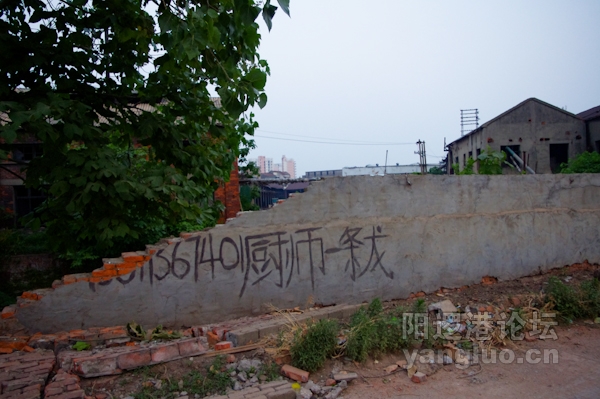 IMGP0050.jpg