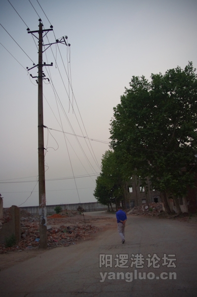 IMGP0065.jpg