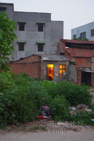 IMGP0066.jpg
