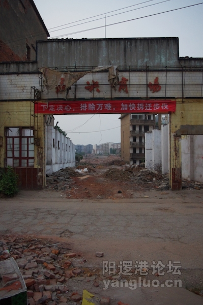 IMGP0068.jpg