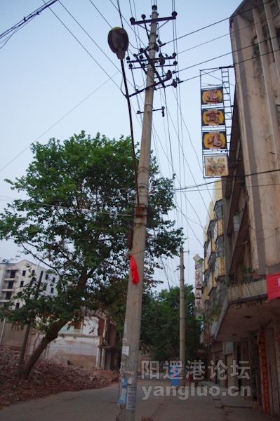 IMGP0069.jpg