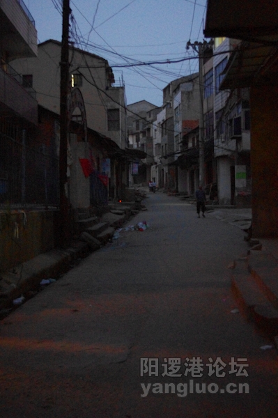 IMGP0084.jpg