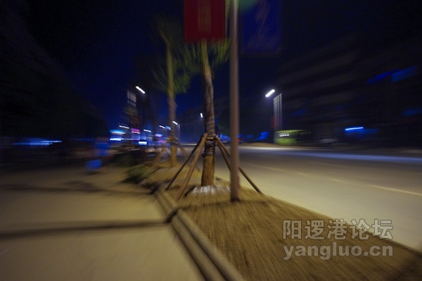 IMGP0112.jpg