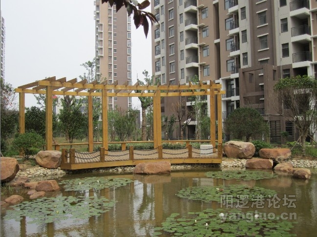 值得斟酌的美景