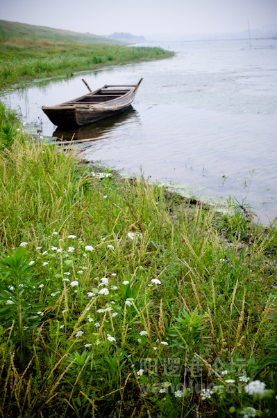 20110602-IMGP0018.jpg