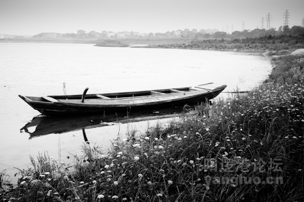 20110602-IMGP0021.jpg