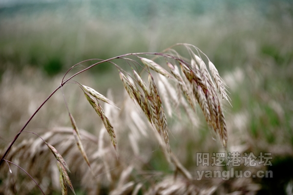 20110602-IMGP0024.jpg