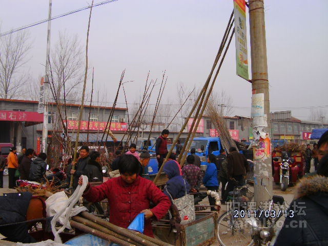 DSCK1601.JPG