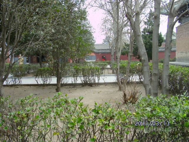 DSCK1657.JPG