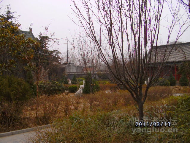 DSCK1708.JPG