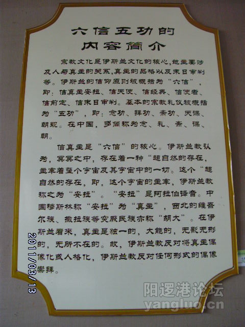 DSCK1769.JPG