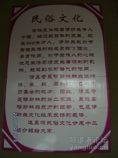 DSCK1772.JPG