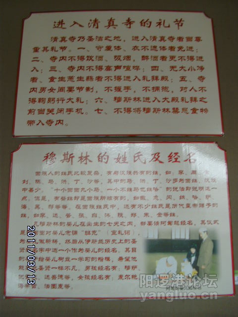 DSCK1773.JPG