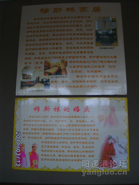 DSCK1775.JPG