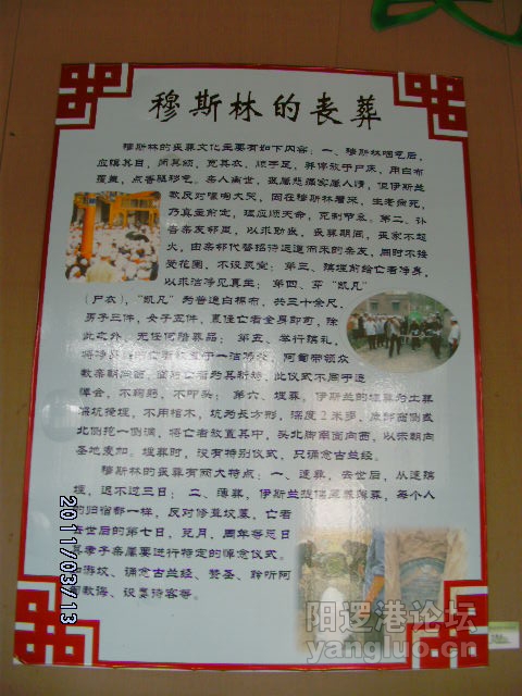 DSCK1780.JPG