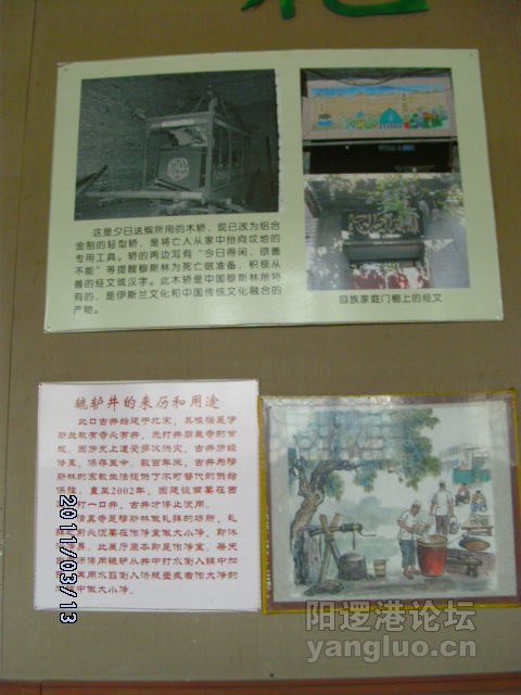 DSCK1786.JPG