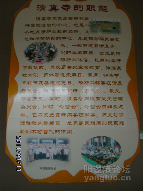 DSCK1787.JPG