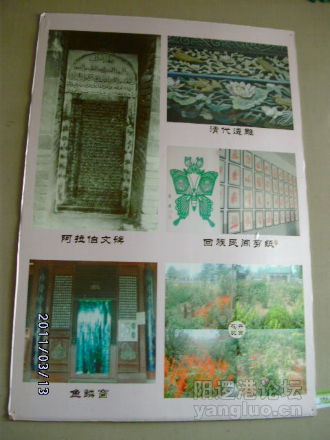 DSCK1794.JPG